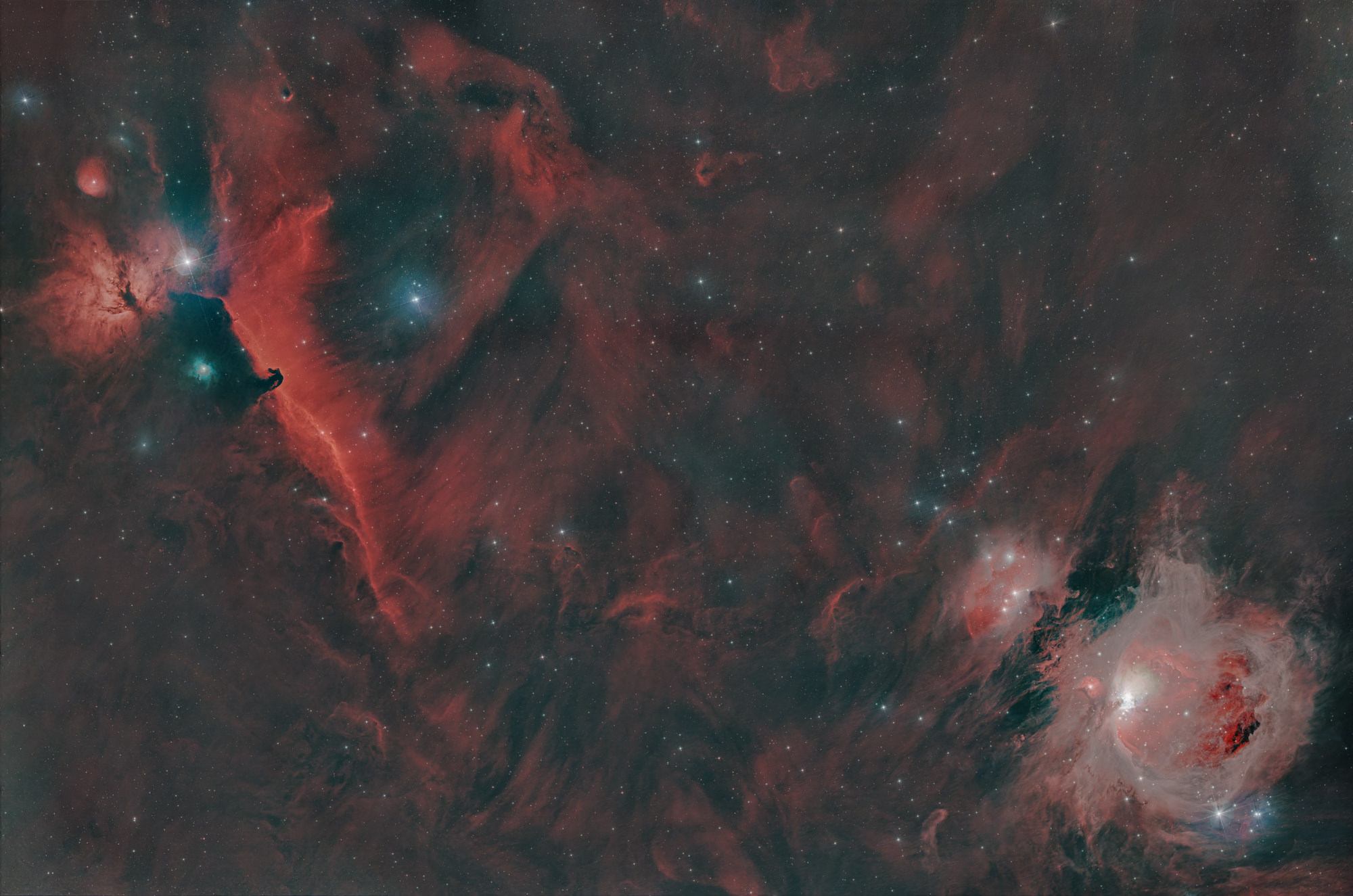 Wide field image in the constellation Orion. Orion Nebula M 42 lower right, Flame Nebula NGC 2024 upper left and Horsehead Nebula Barnard 33 below and right of the Flame Nebula.